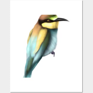 Cute Bee-Eater Drawing Posters and Art